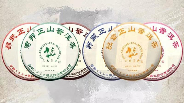 六大茶山普洱茶