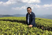 漫湾古茶山「老包说茶」