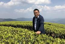 邦崴古茶山「老包说茶」