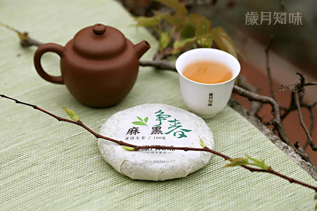 岁月知味争春系列普洱茶新品