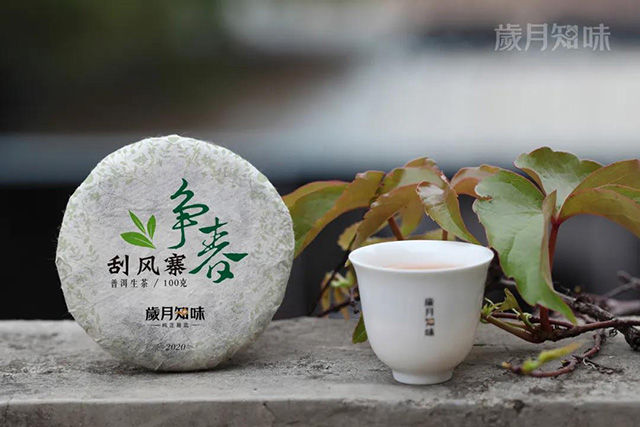 岁月知味争春系列普洱茶新品