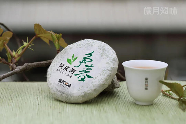 岁月知味争春系列普洱茶新品