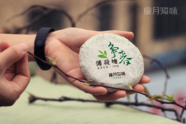 岁月知味争春系列普洱茶新品