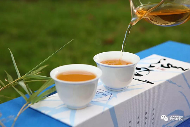 普洱茶茶汤