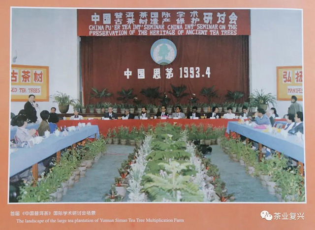 1993年首届古茶树遗产保护研讨会