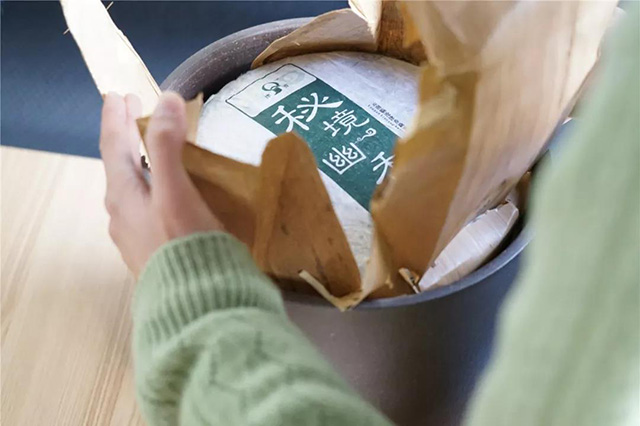 津乔普洱茶