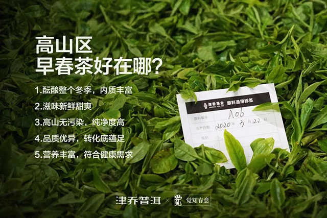 津乔普洱觉知普洱茶