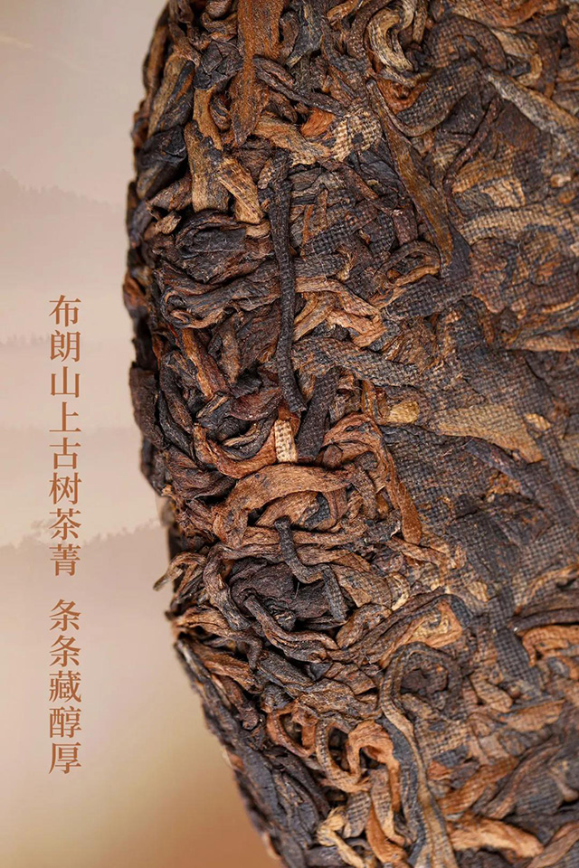 2019年老同志高山醇普洱熟茶