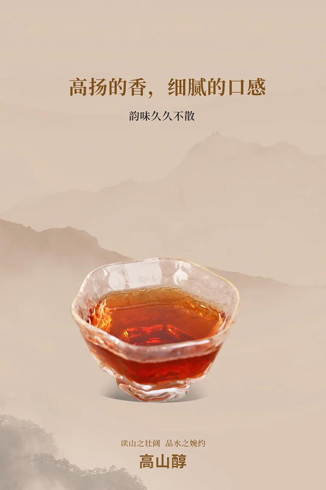 2019年老同志高山醇普洱熟茶