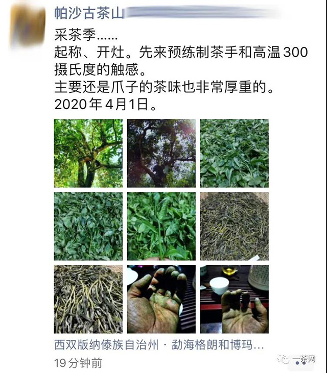 帕沙古茶山茶农二大的朋友圈