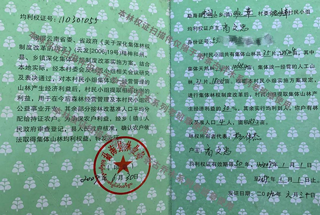 中茶老班章普洱茶生茶紧压茶