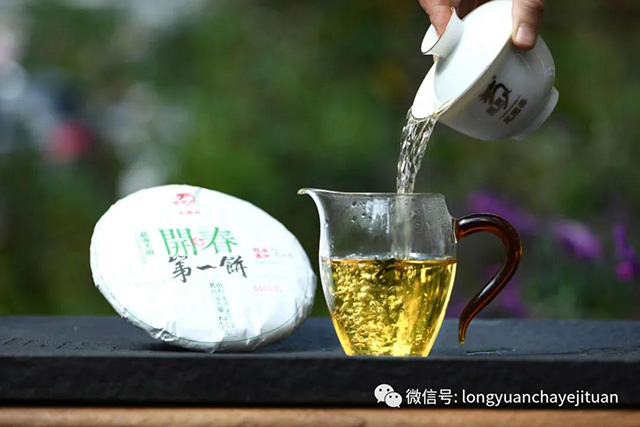 龙园号普洱茶勐海开春第一饼套装典藏礼茶生茶