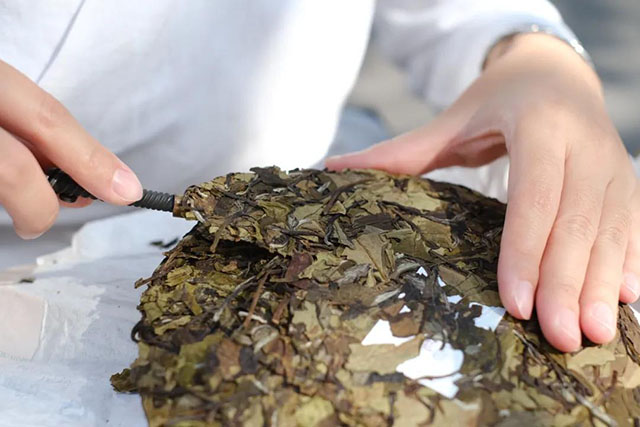 祥源茶高山寿眉