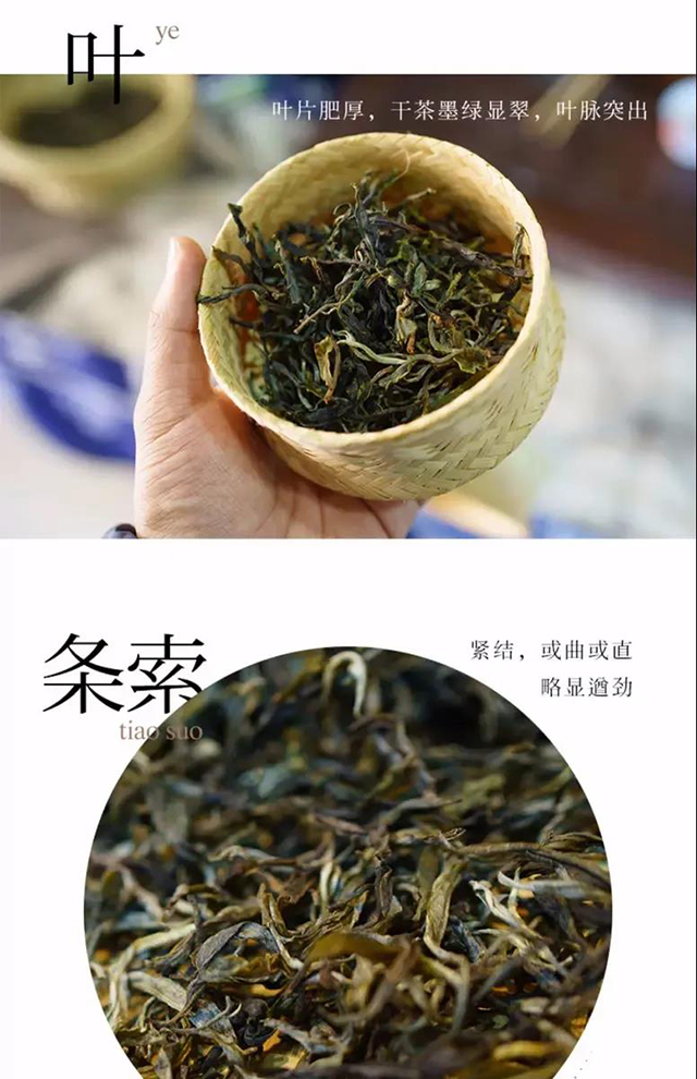 干茶外形