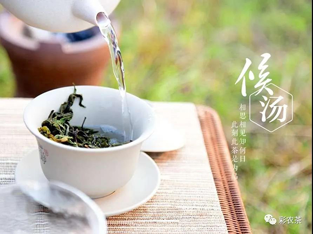 彩农茶2020春景迈禅心湖煮水瀹茶叙