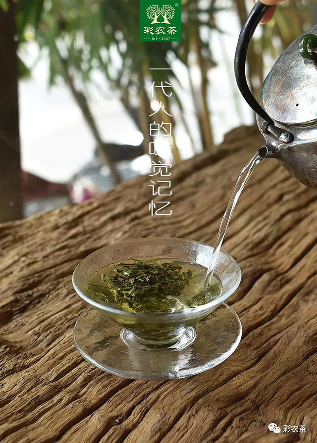 彩农茶蒸酶茶