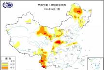 遭遇10年最严重旱情，云南普洱茶、咖啡等怎么扛过难关？