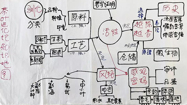 茶叶进化论