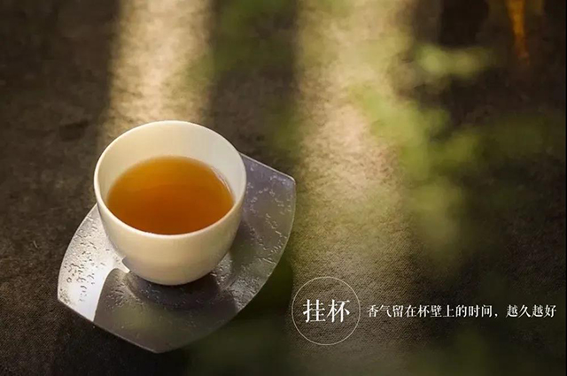 津乔普洱茶