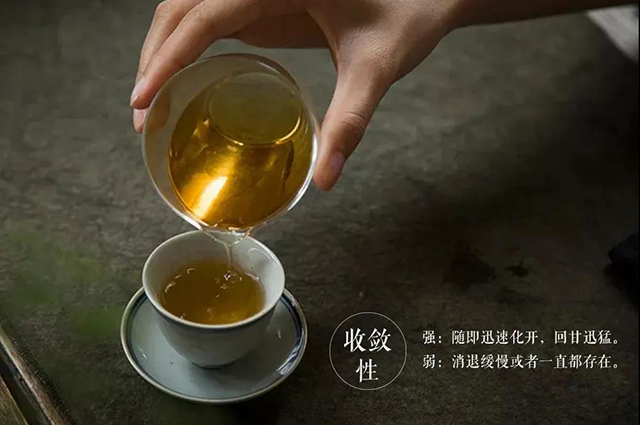 津乔普洱茶