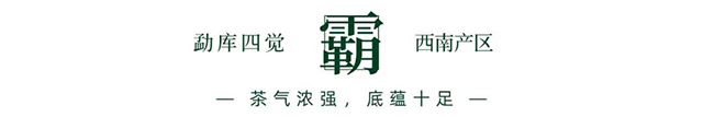 津乔普洱勐库四觉普洱生茶