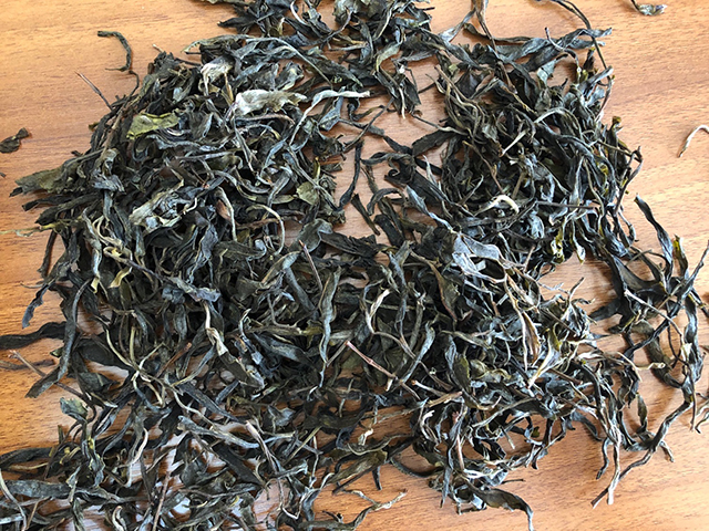 龑王牌勐麻河普洱茶2019年古树春茶纯料