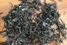 普洱茶复苏启示录「茶界白马非马专栏」