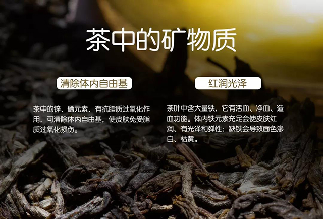 津乔普洱茶百科