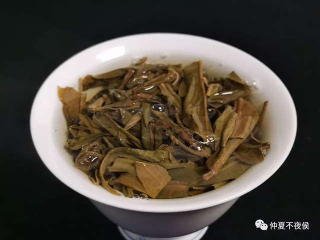 忙肺古树普洱茶