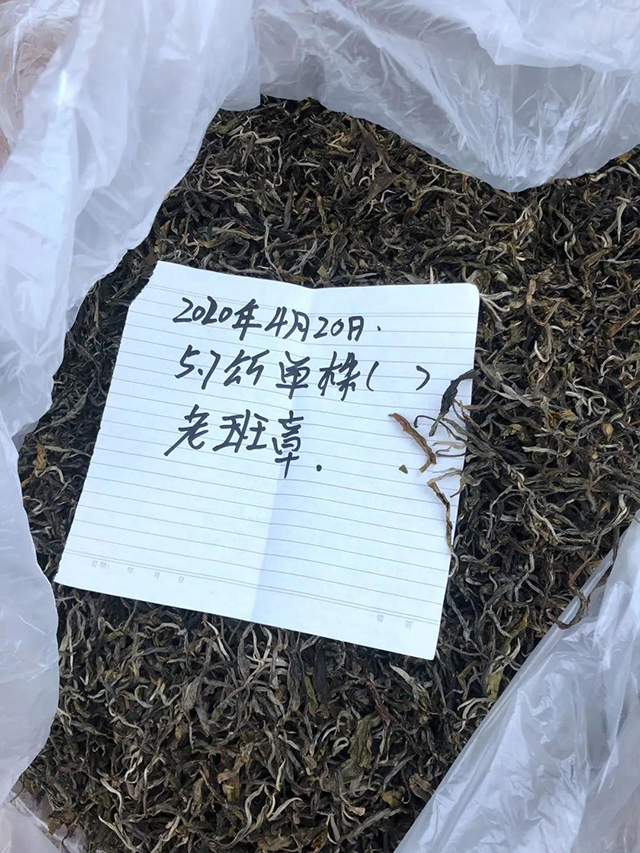 高顶古茶普洱茶