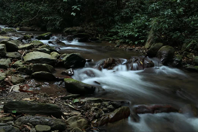 易武同庆河