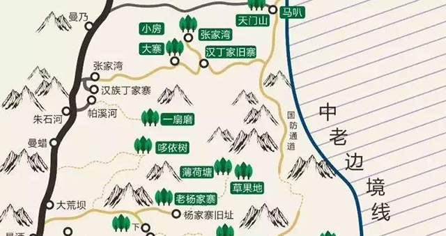 花香型的易武茶