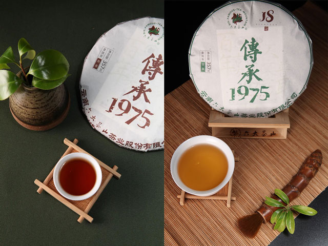 六大茶山传承1975普洱茶