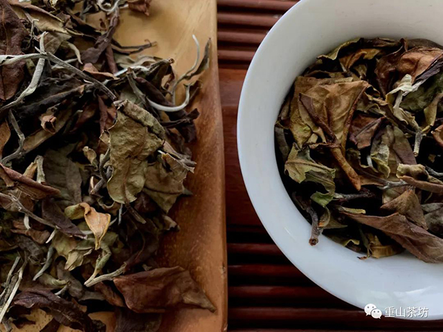 重山茶坊白茶制作日记