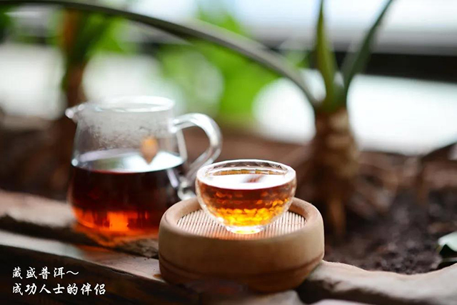 普洱茶熟茶茶汤