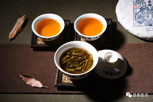 昌泰普洱茶