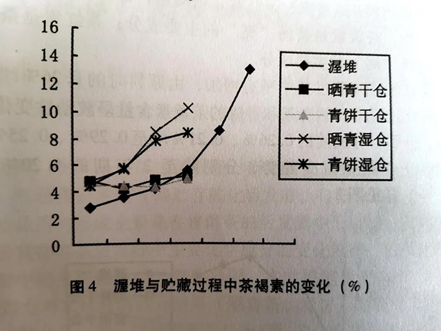 湿仓生茶