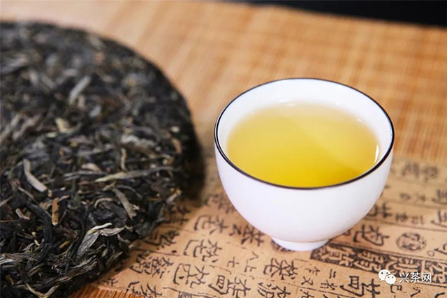 正皓茶头采普洱茶