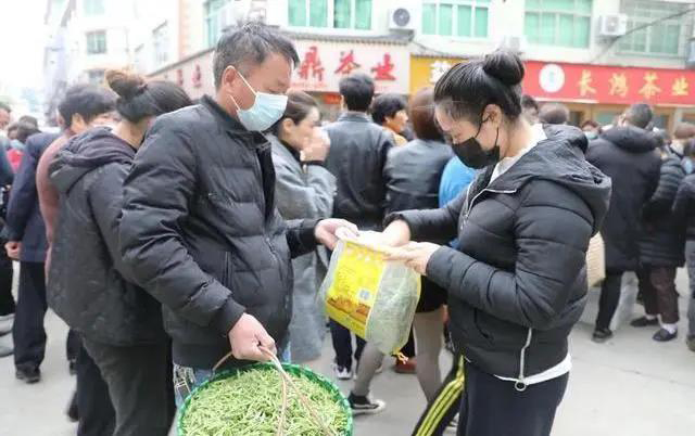 福鼎点头镇闽浙边界茶花交易市场茶农在贩卖茶青。