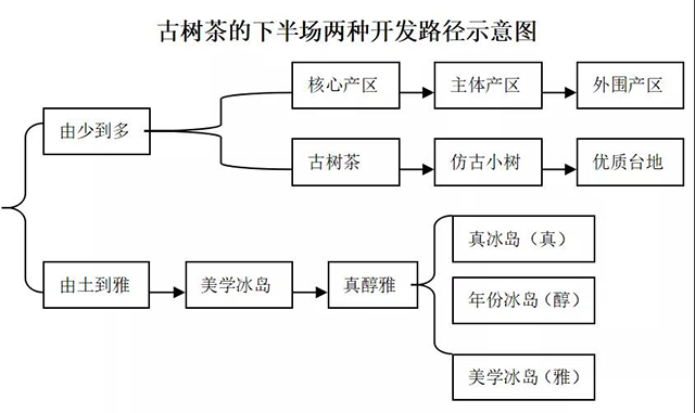 古树茶