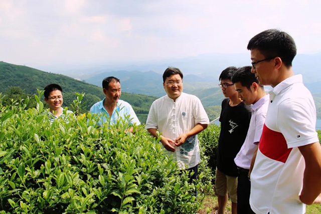 信阳市茶文化协会