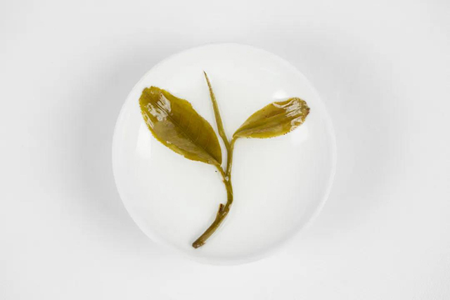 津乔普洱茶