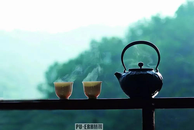 普洱茶与铁壶