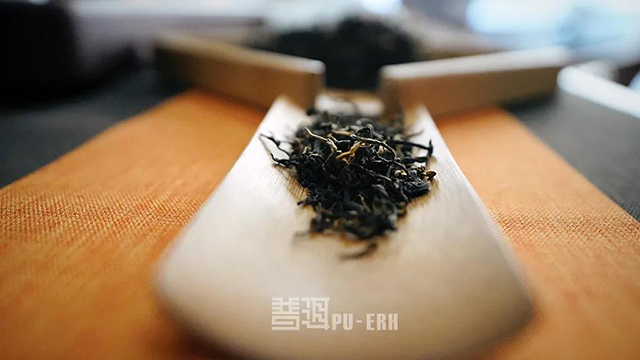 普洱茶冲泡