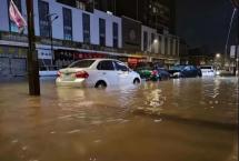 雷点不断，暴雨袭击茶叶市场「大益普洱圈」