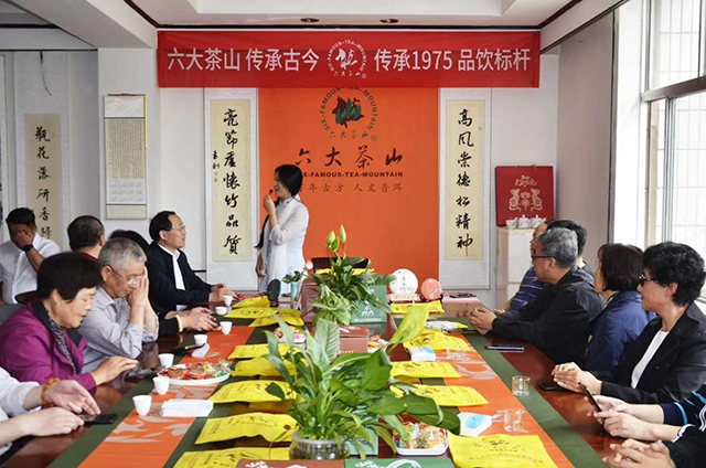 六大茶山全国联动品鉴会盛况
