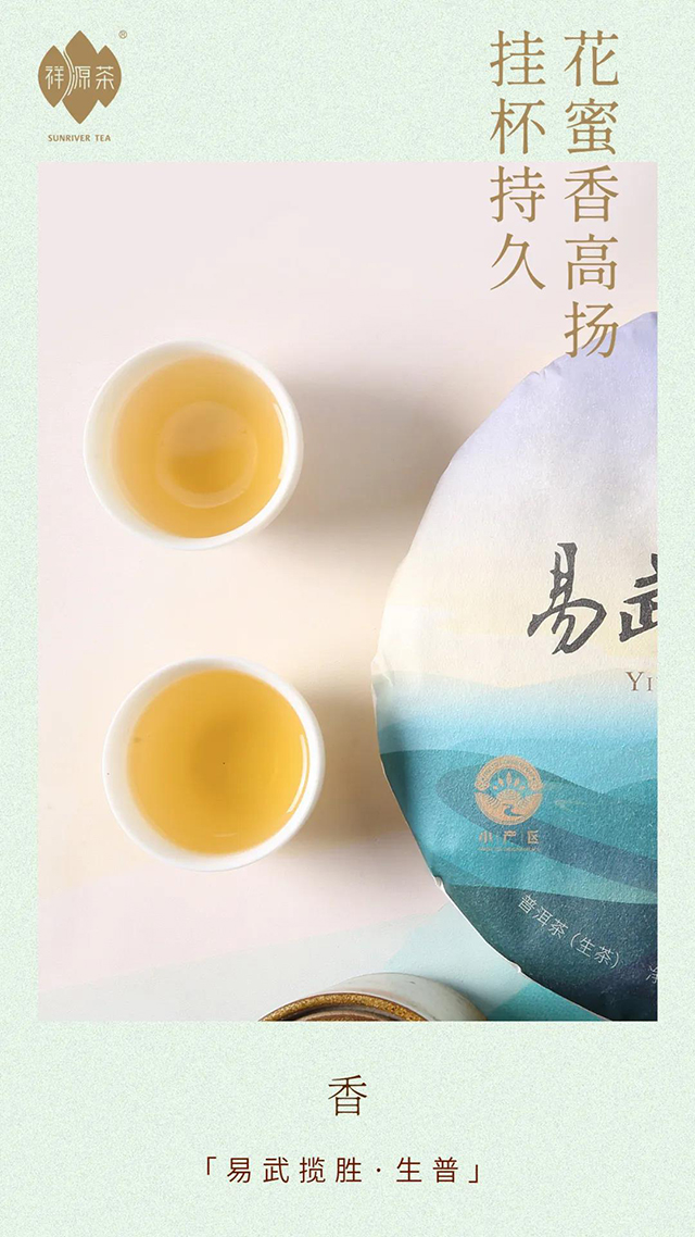 祥源茶易武揽胜普洱茶