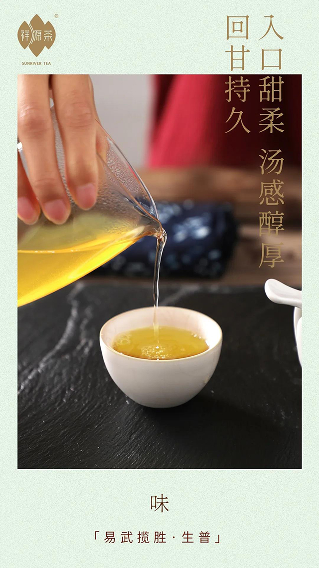 祥源茶易武揽胜普洱茶