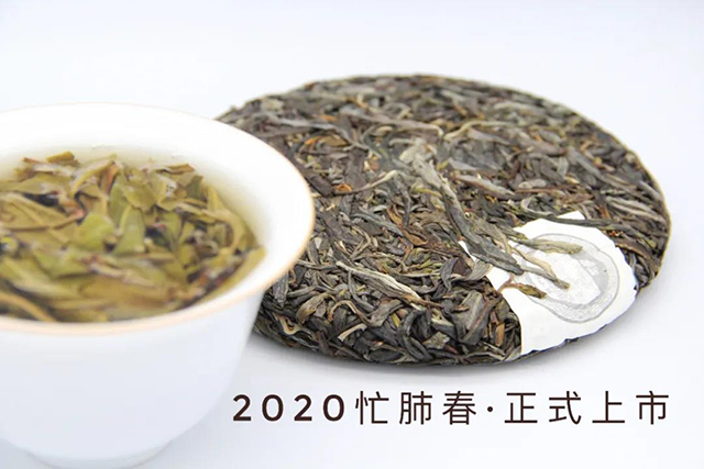 2020董帅茶业肺小饼普洱茶