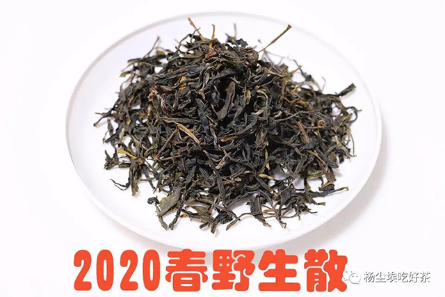 2020春野普洱茶散茶